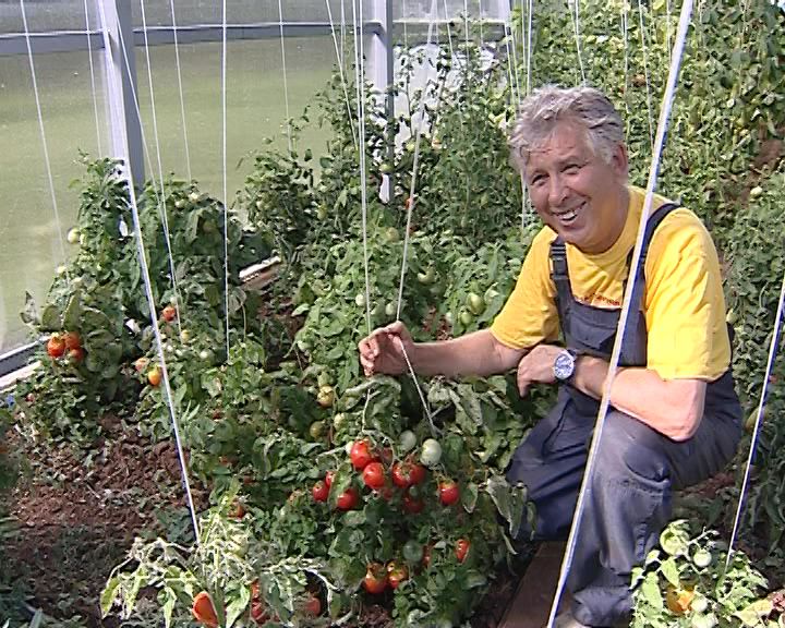 Вести. Сад. Огород (24.02.2018) » ГТРК Вятка новости