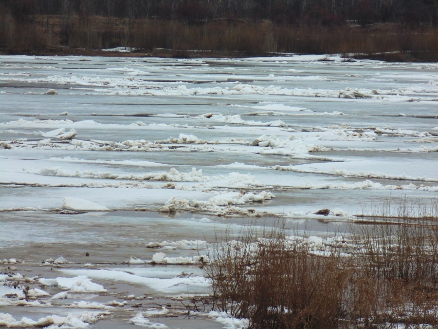 Уровень воды в реке Вятке снизился на 5 сантиметров.