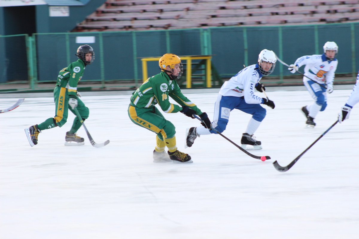 Юные игроки «Родины» стали победителями турнира на призы Федерации хоккея мячом.