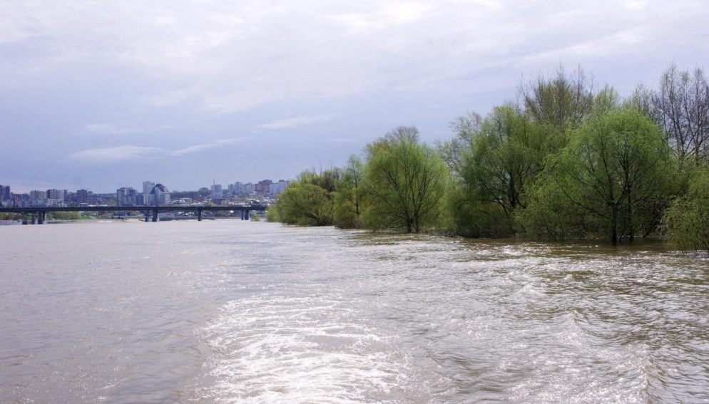 Уровень воды в реке Вятке пошел на убыль.