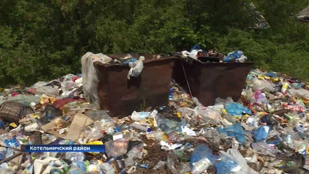 В Затоне решат проблему мусорного коллапса