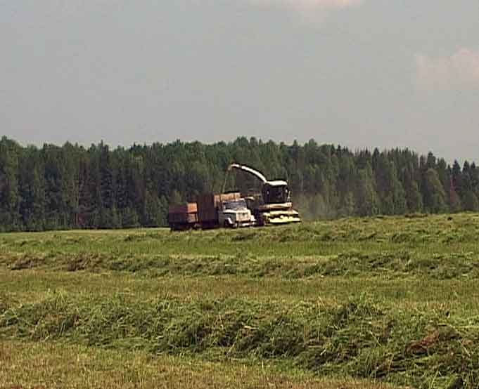 Кормозаготовительные работы в Кировской области