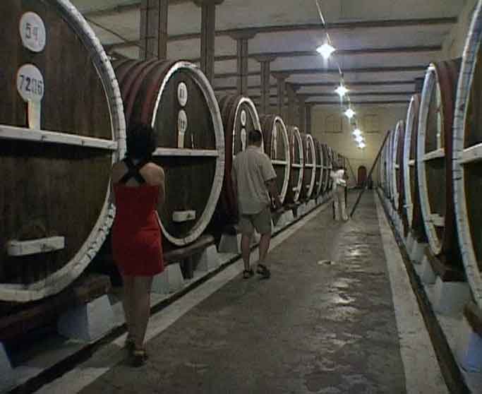 Болгарское вино