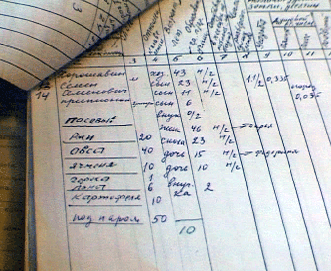 Краеведы изучают данные сельхозпереписи 1916 года