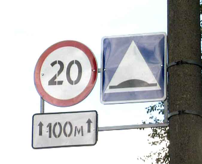 Причина установки лежачих полицейских