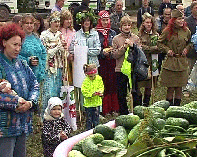 Праздник огурца