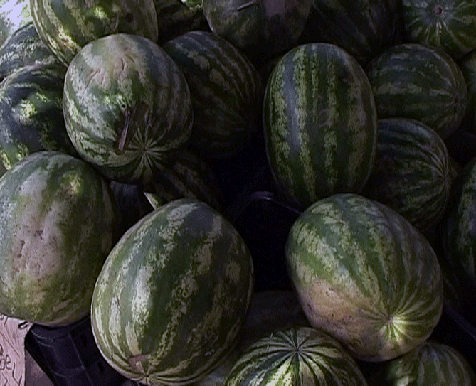 Покупаем арбуз