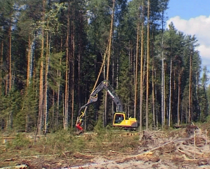 Презентация нового лесозаготовительного комплекса