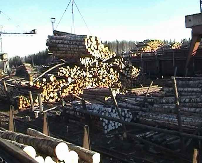 Осенний кризис лесозаготовителей