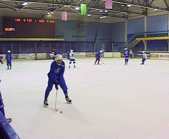 Кубковые матчи хоккейного клуба «Родина»