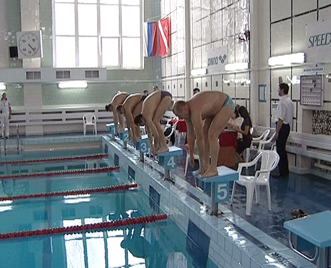 Соревнования в бассейне 