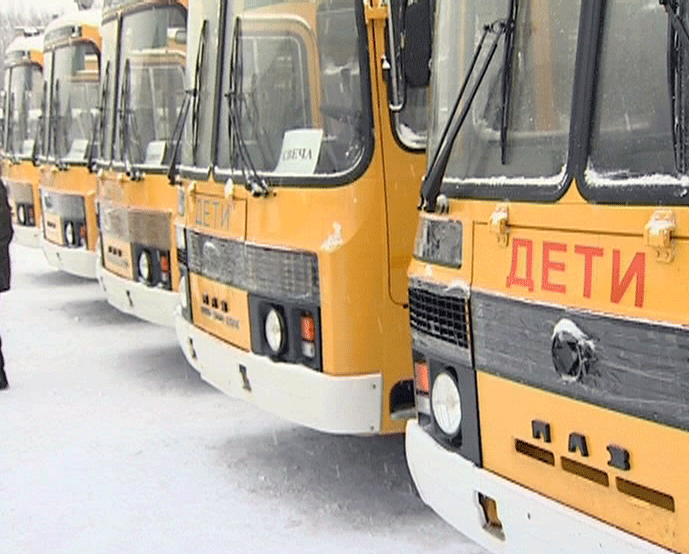 Школьные автобусы