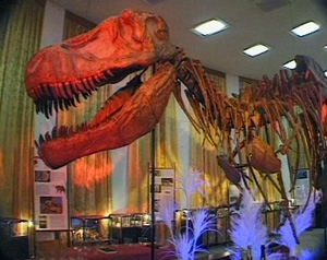 Котельнический палеонтологический музей станет филиалом областного