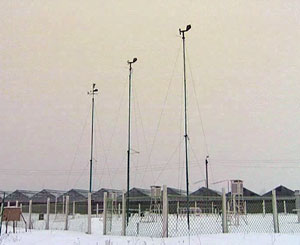 Каким прогнозам погоды можно доверять?