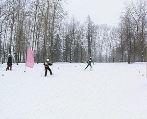 Первенство ШВСМ