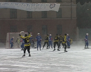 Хоккей с мячом