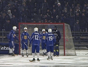 Хоккей с мячом