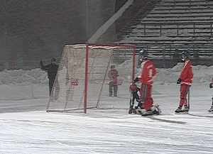 Хоккей с мячом