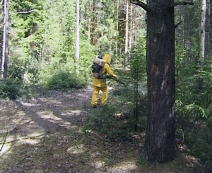 За последние две недели 20 кировчан пострадали от укусов клещей