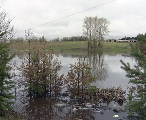 Как предотвратить попадание отходов сельхозпроизводства в притоки реки Вятки?
