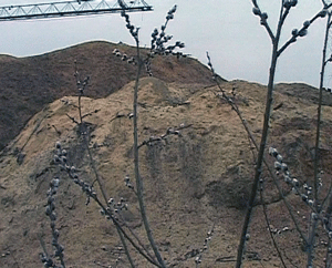 Отходы деревообработки в Кировской области - это источник загрязнения или дополнительной прибыли?