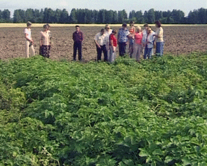 Недавно делегация Кировской области побывала в Голландии