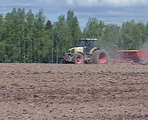 Почти половину мая селяне области находились в состоянии стресса: из-за дождей ни одно хозяйство не могло начать посевную