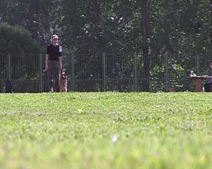 Продолжаются соревнования кинологов