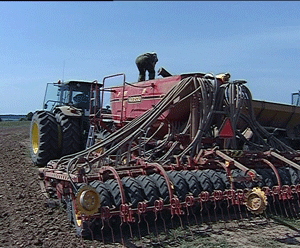Возрождать сельское хозяйство