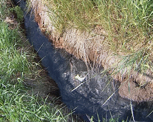 Жители поселка Садаковский обеспокоены состоянием экологии своего населенного пункта