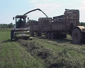 Работы на селе