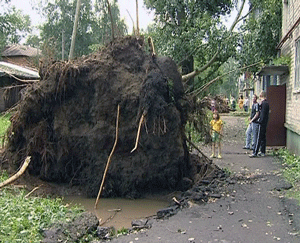 Последствия урагана.