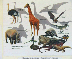 Динозавры в Кирове.