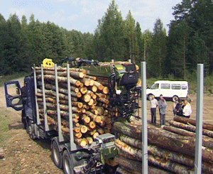 Лесозаготовительные технологии.