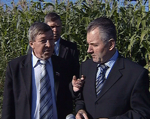 Губернатор в 