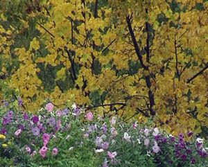 Прогноз на выходные.