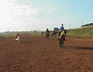 Пункт проката на ипподроме