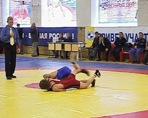 Турнир по греко-римской борьбе