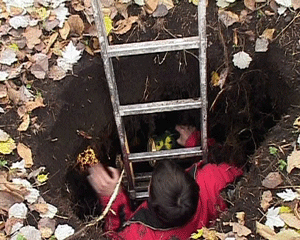 Яма в Гагаринском парке