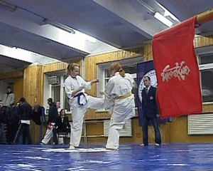 Кубок области по каратэ