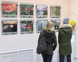 Выставка Бориса Гуревича в краеведческом музее