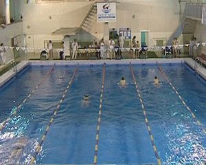 Чемпионат области по плаванию