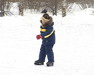 Каток в поселке Стрижи