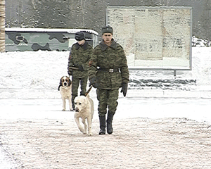 Служба по контракту в Кировской области