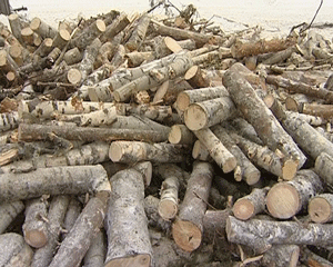 Районы боятся остаться без дров, а лесозаготовители без прибыли