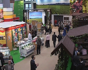 Жители Берлина о Путине и о России