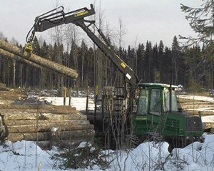 Вятские лесозаготовители готовятся к работе по новому Лесному кодексу