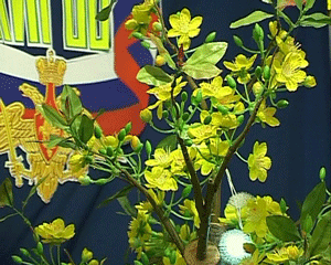 Новый год по-вьетнамски