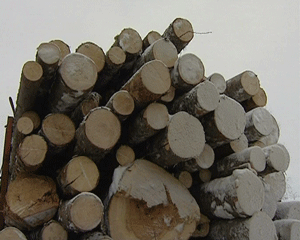 В Кировской области продолжается спецоперация 