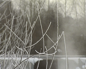 Прогноз погоды